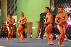 2010-PFBB-National-Bodybuilding-99