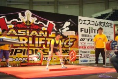 ann-dl_14476260378_o