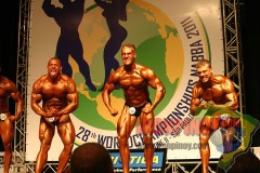 2011_nabbaworld_brazil_men_prejudging-25