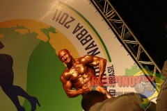 2011_nabbaworld_brazil_men_prejudging-43