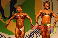 2011_nabbaworld_brazil_figure_prejudging-100