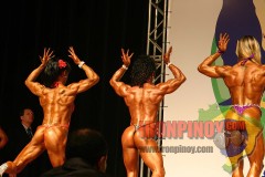 2011_nabbaworld_brazil_figure_prejudging-113