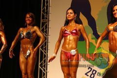 2011_nabbaworld_brazil_figure_prejudging-62