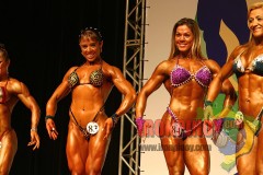 2011_nabbaworld_brazil_figure_prejudging-88