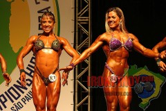 2011_nabbaworld_brazil_figure_prejudging-99