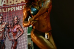 2011-NABBA-WFF-Philippines-342-upscaled