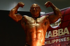 2011-NABBA-WFF-Philippines-158-upscaled