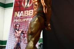 2011-NABBA-WFF-Philippines-261-upscaled