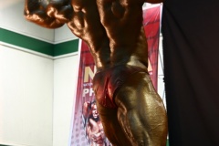 2011-NABBA-WFF-Philippines-265-upscaled