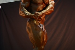 2011-NABBA-WFF-Philippines-275-upscaled