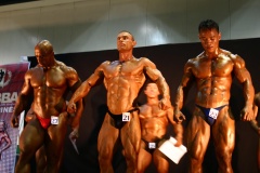 2011-NABBA-WFF-Philippines-567-upscaled