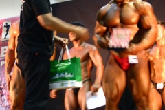 2011-NABBA-WFF-Philippines-573-upscaled