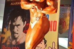 2012_nueva_ecija_muscle_showdown-72