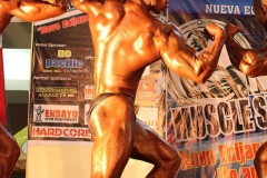 2012_nueva_ecija_muscle_showdown-574