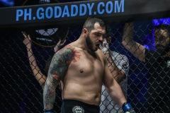 Brandon-Vera-vs-Mauro-Cerilli-2