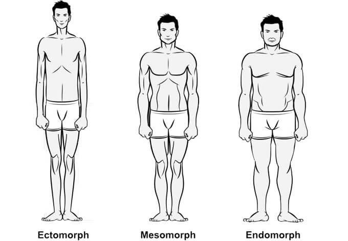 Below we outline the three basic body types (Endomorph, Mesomorph, and Endomorph)