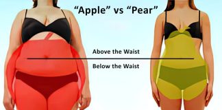 Are You an Apple or a Pear? Apple vs Pear body types