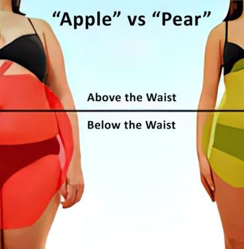 Apple vs Pear body types