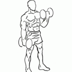 alternate bicep curl 2