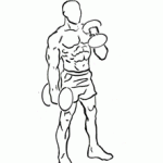 alternate hammer curl 2