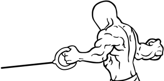 Back Flyes with Exercise Bands: A Comprehensive Guide for 2024 back flyes with resistance bands 1