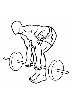 barbell dead lifts 2
