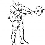 barbell front raises 1