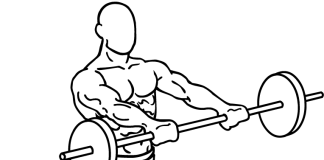 Front Barbell Raises Front Barbell Raises 1