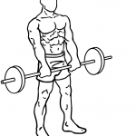 barbell front raises 2