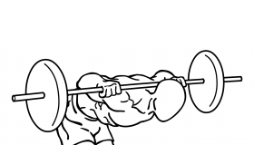 Barbell Good Mornings barbell good mornings 2