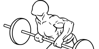Rear Deltoid Row Barbell Rear Deltoid Row Barbell 2