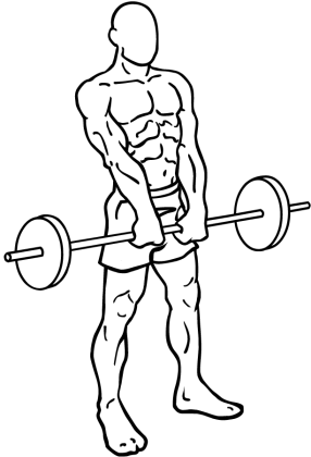 barbell shrugs 1
