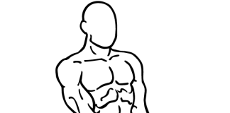 Mastering Barbell Shrugs: Strengthening Your Trapezius for a Stronger Back barbell shrugs 1