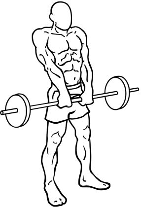 barbell shrugs 2