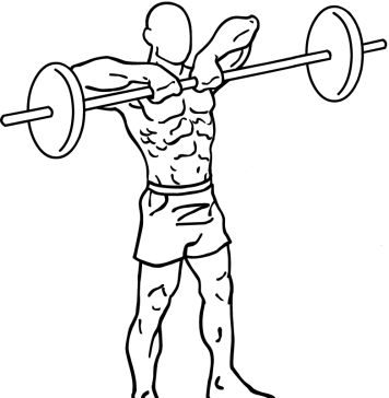 Upright Barbell Rows 1
