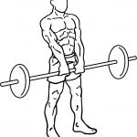 barbell upright rows 2