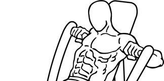 Machine Bench Press Machine Bench Press 2