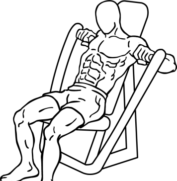 Machine Bench Press 2