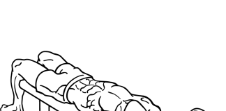 Bent Arm Pullover: Strengthening Your Chest, Triceps, Shoulders, and LatsBent Arm Pullover bent arm pullover 2