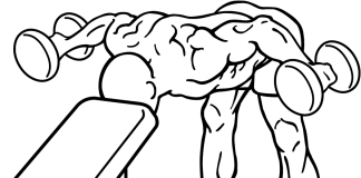 Bent Over Rear Deltoid Raise With Head On Bench bent over rear delt row with head on bench 1