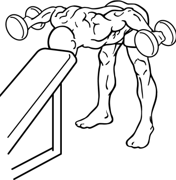 bent over rear delt row with head on bench 1