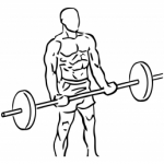 bicep curl barbell1