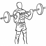 bicep curl barbell2