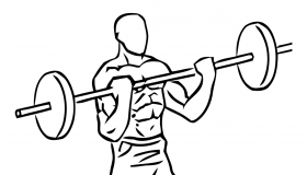 Bicep Curls with Barbell bicep curl barbell2