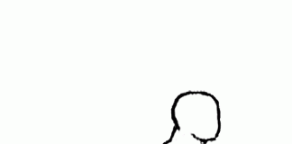 Bicep Curl Lunge with Bowling Motion bicep curl lunge with bowling motion 2 1