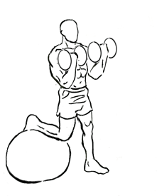 bicep curl on stability ball with leg raised 2