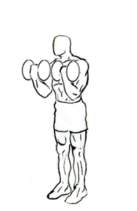 biceps curl squat 2