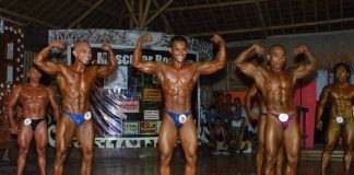 Machris Delfin bora2