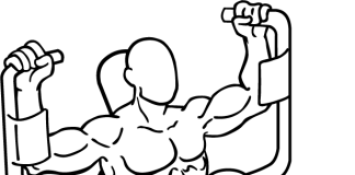 Butterfly Machine butterfly machine 2