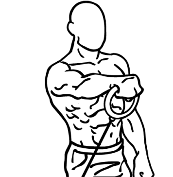 cable front raises 1